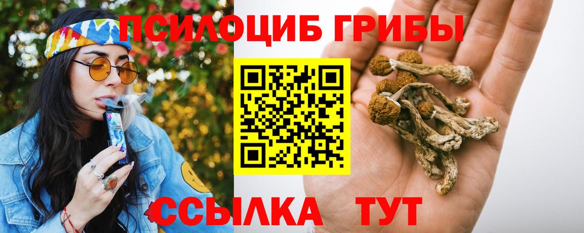 Галлюциногенные грибы MAGIC MUSHROOMS  Галлюциногенные грибы прущие грибы  Дзержинский  Вход с VPN 